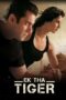 Ek Tha Tiger (2012) Hindi 360p + 720p + 1080p Blu-Ray x264 AAC 5.1 MSubs