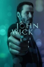 John Wick (2014) 360p + 720p + 1080p + 2160p 4K 10bit BluRay x265 HEVC [RM Hindi DTS 5.1 ~ 768Kbps + English AAC 5.1 ] ESubs