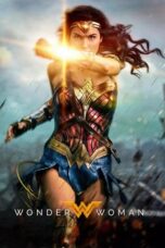 Wonder Woman (2017) Extended BluRay Dual Audio [Hindi DD5.1 + English DD5.1] 480p | 720p | 1080p ESub