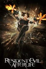 Resident Evil: Afterlife (2010) BluRay Hindi English 720p + 480p AAC 5.1 x264 ESub