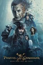 Pirates of the Caribbean: Dead Men Tell No Tales (2017) BluRay Dual Audio [Hindi DD5.1 + English DD5.1] 480p | 720p | 1080p ESub