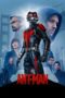 Ant-Man (2015) BluRay Dual Audio [Hindi DD5.1 + English DD5.1] 480p | 720p | 1080p ESub