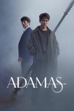 Adamas (2022) S01 EP (01-16) Web Series [Hin + Kor] 720p 10Bit ESub