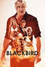 Blackbird (2022) 720p WEBRip HINDI Dubbed Watch Online (MELBET)