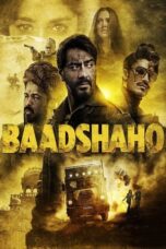 Baadshaho (2017) Hindi 360p + 480p + 720p + 1080p WEB-DL ESub