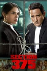 Section 375 (2019) Hindi 720p + 1080p AMZN WEB-DL x265 10bit HEVC DDP5.1 ESub