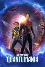 Ant-Man and the Wasp Quantumania (2023) DNSP [English DDP 5.1 + Hindi DDP 5.1] BluRay | 1080p | 720p | 480p | MSub