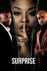 Surprise (2023) 720p WEBRip Bengali Dubbed Watch Online (1XBET)