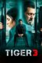 Tiger 3 (2023) 1080p CAMRip V2 Telugu Dubbed Watch Online (1XBET)