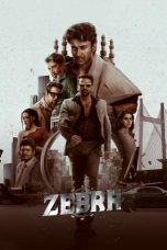 Zebra 2024 1080p WEBRip HINDI DUB 1XBET